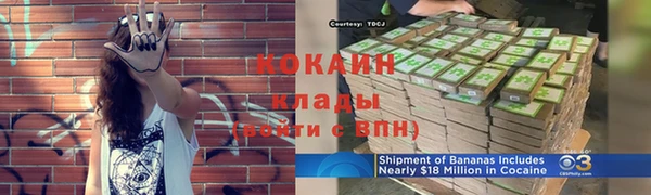 шишки Бородино
