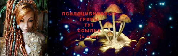 шишки Бородино