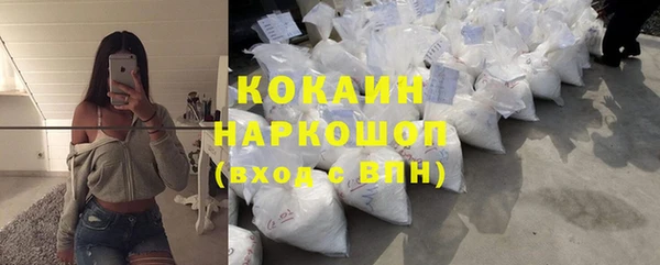 шишки Бородино