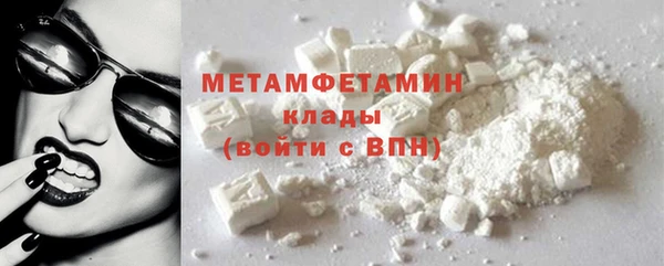 шишки Бородино