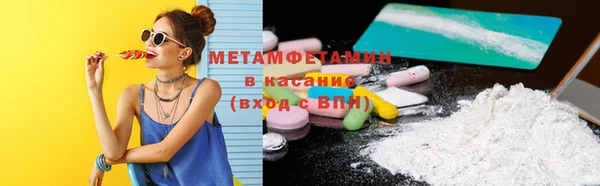 шишки Бородино