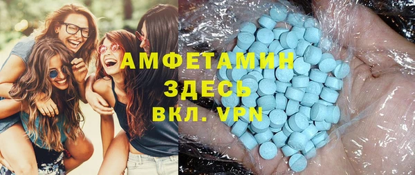 шишки Бородино