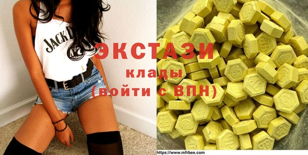 шишки Бородино