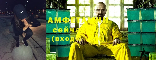 шишки Бородино