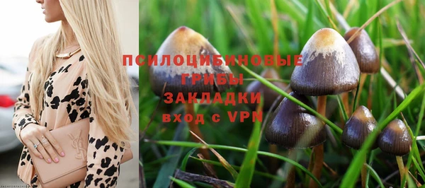 шишки Бородино